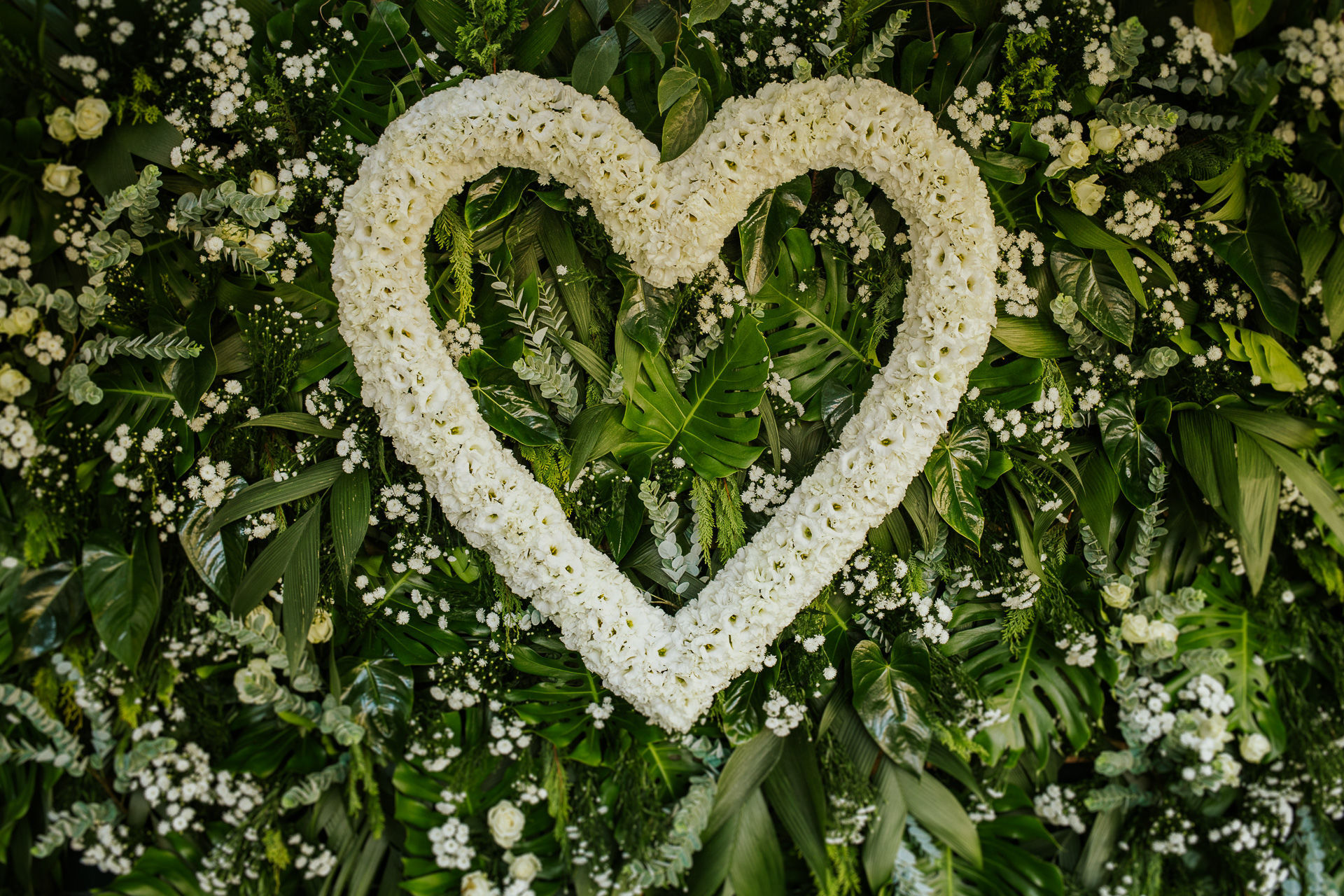 Foto Carolina e André - Casamento Clássico Foto Carolina e André - Casamento Clássico - Imagem 0