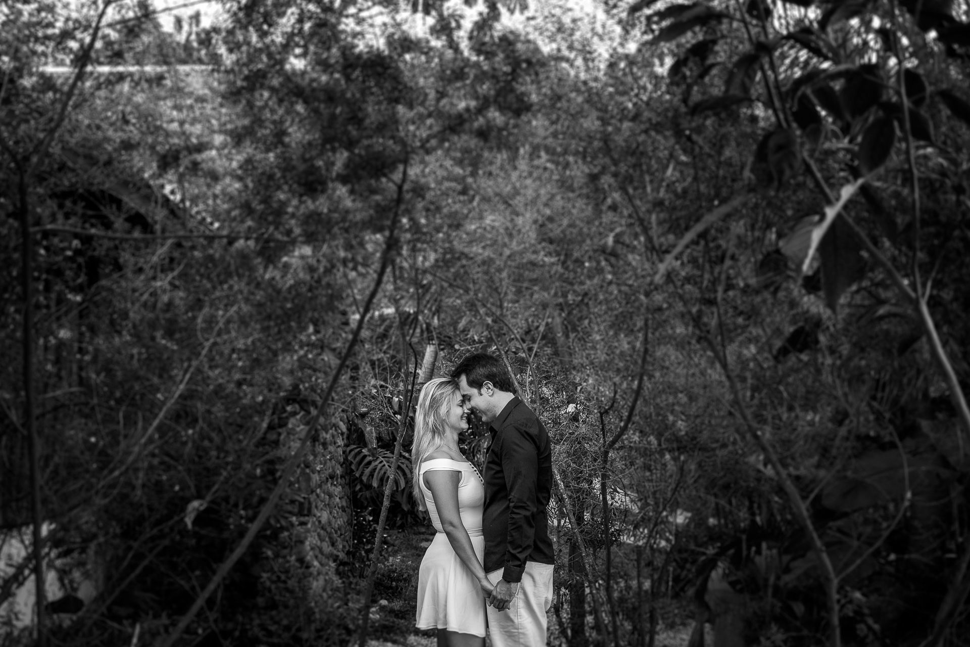 Foto Lara e Guilherme - Ensaio Pré Wedding Foto Lara e Guilherme - Ensaio Pré Wedding - Imagem 28
