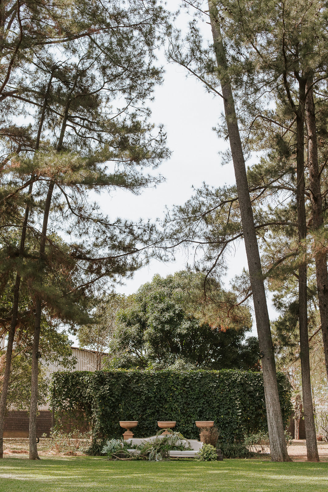 Foto Editorial Dreams Wedding - Beleza Natural das Noivas Foto Editorial Dreams Wedding - Beleza Natural das Noivas - Imagem 18