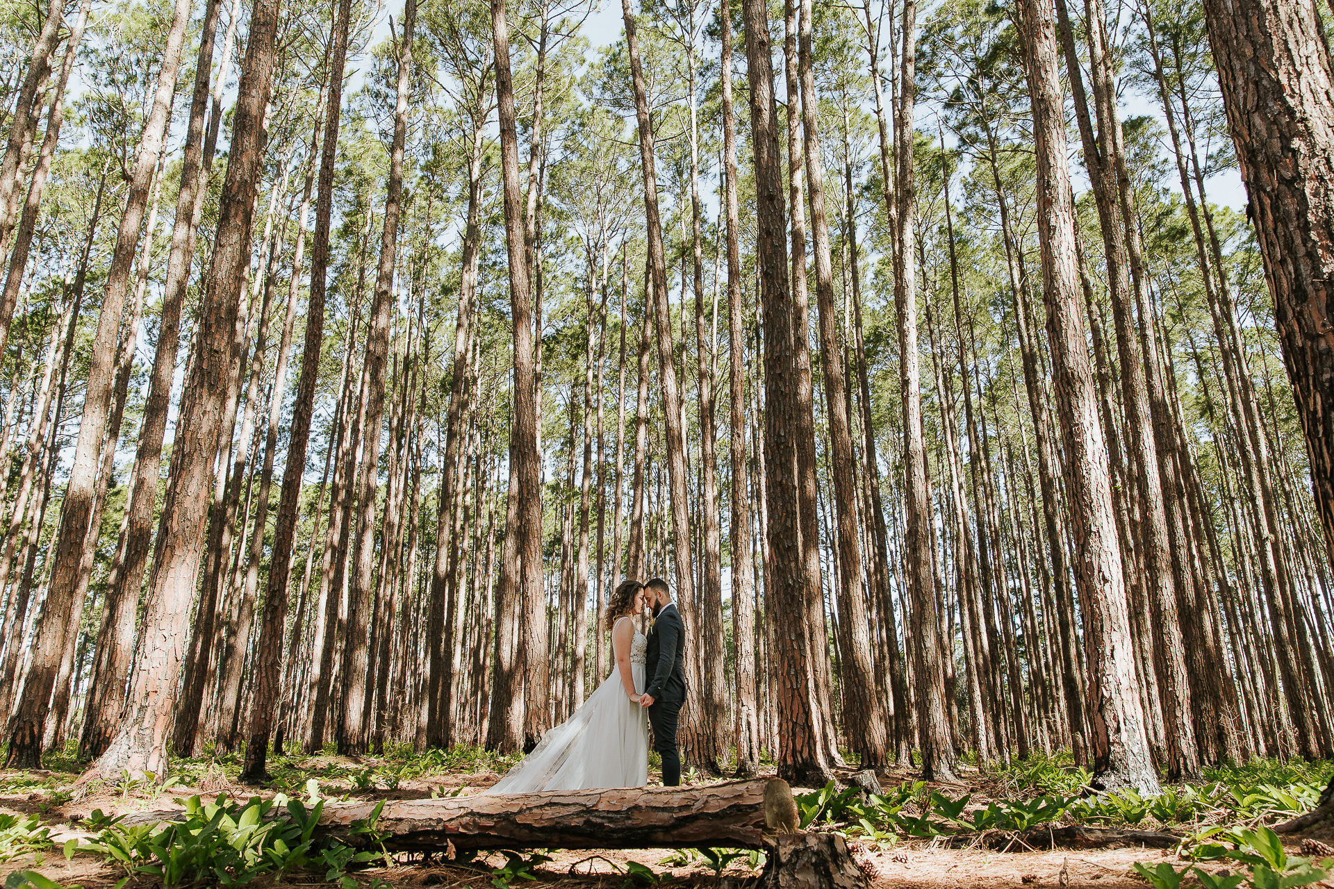 Foto Jaque e Patrick Elopment Wedding em Florianópolis/SC Foto Jaque e Patrick Elopment Wedding em Florianópolis/SC - Imagem 60